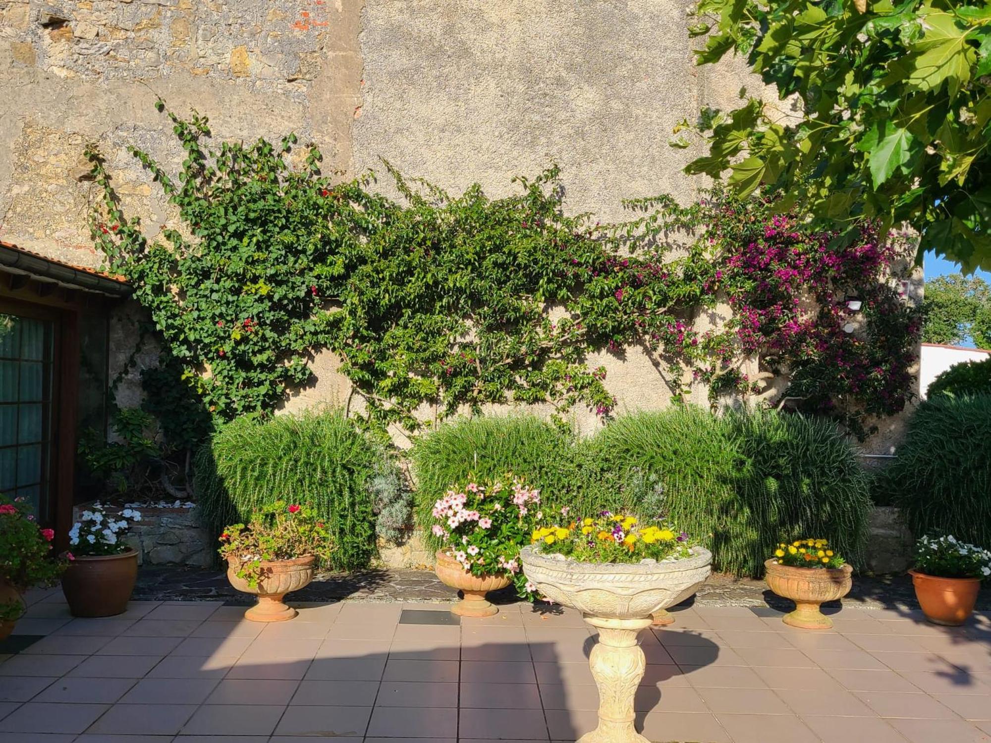 La Casona De Picoverde Cóbreces Εξωτερικό φωτογραφία